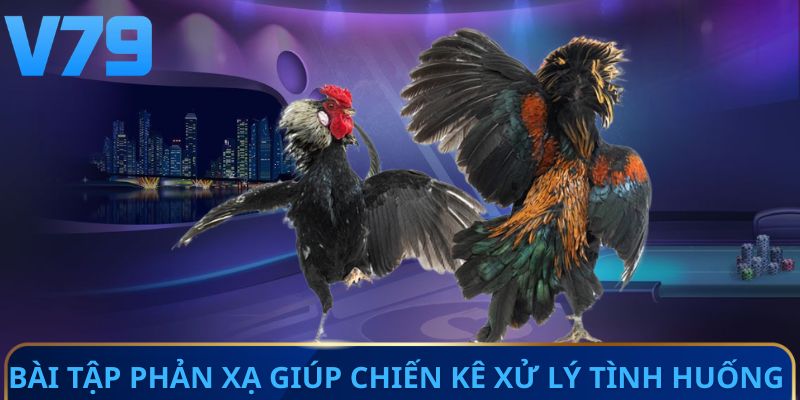 Bài tập phản xạ giúp chiến kê xử lý tình huống