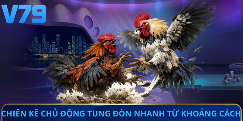 Chiến kê chủ động tung đòn nhanh từ khoảng cách