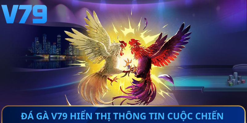 Đá gà V79 hiển thị thông tin cuộc chiến trực tuyến