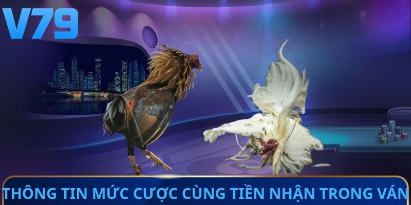 Thông tin mức cược cùng tiền nhận trong ván chọi kê